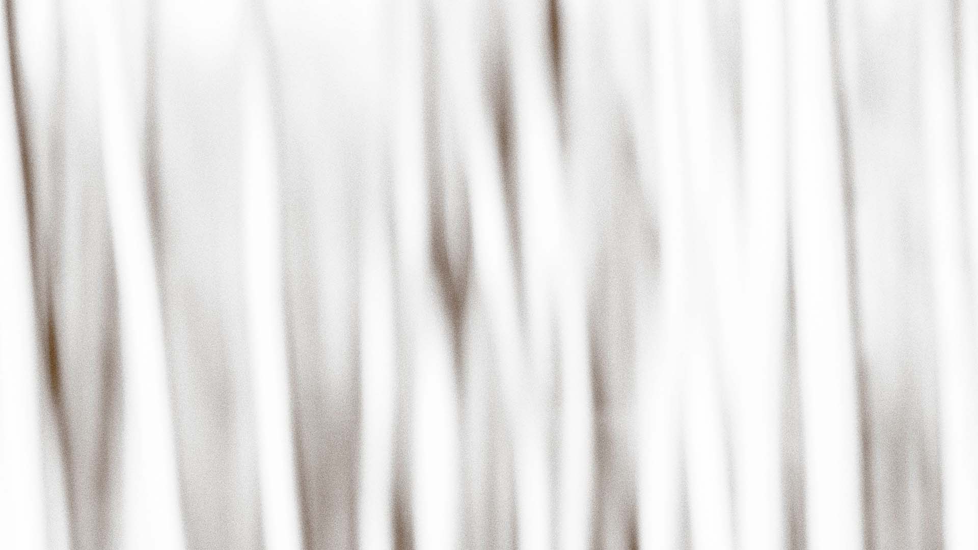 Wald Abstrakt